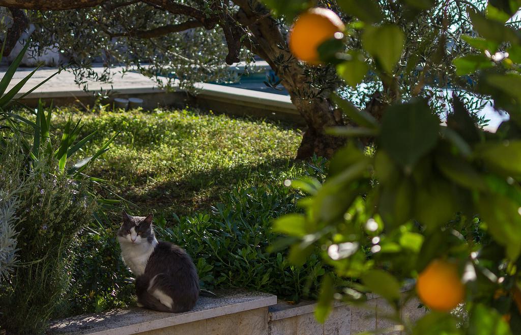 Apartments Ana Baška Voda エクステリア 写真